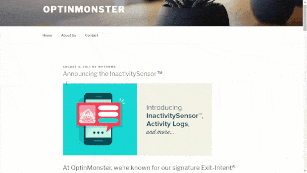 inactivitysensor - OptinMonster